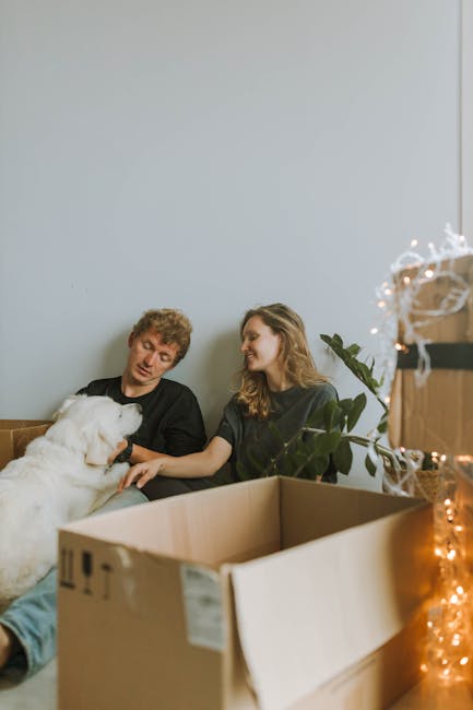 A man and a woman are seated on the floor inside a room with light-colored walls and a large window, surrounded by moving boxes of various sizes, some open and partially filled with items, and others 